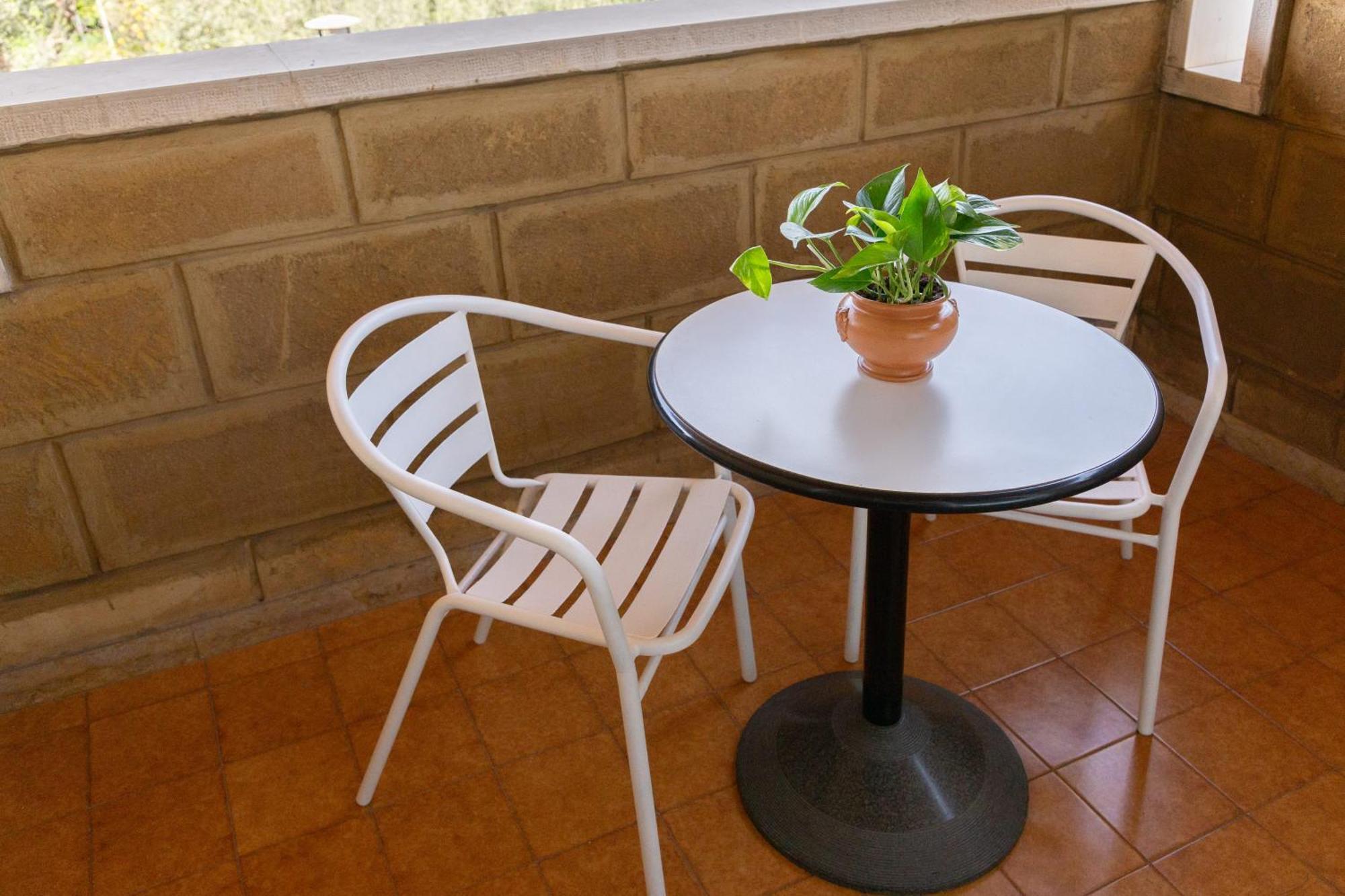B&B Le Foglie D'Ulivo Bari Exterior foto